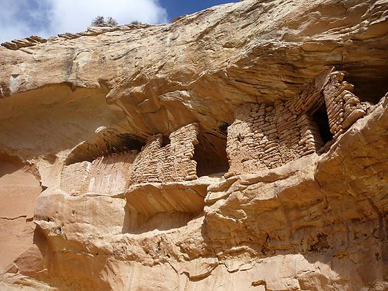 Ruins tucked in an alcove on the north canyon wall 