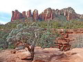 View from the area around the Seven Sacred Pools