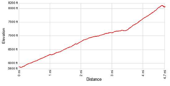 Elevation Profile Siyeh Pass