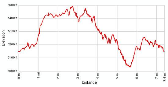 Devil's Garden Elevation Profile