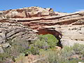 Kachina Bridge in the Spring