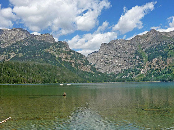 Prospector Mountain, Albright Peak and Static Peak 